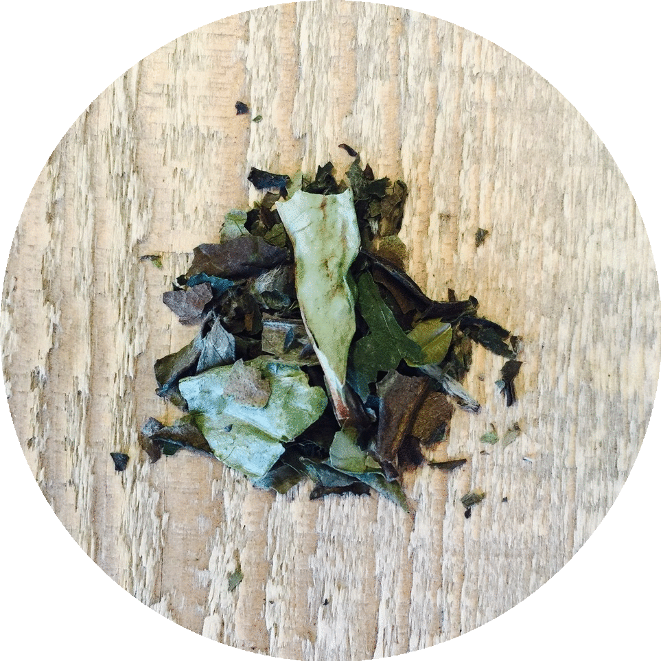 Three 6 Tea - Organic Pai Mu Tan - White Tea